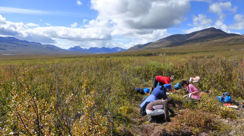 climate change in the mackenzie mountains mamet